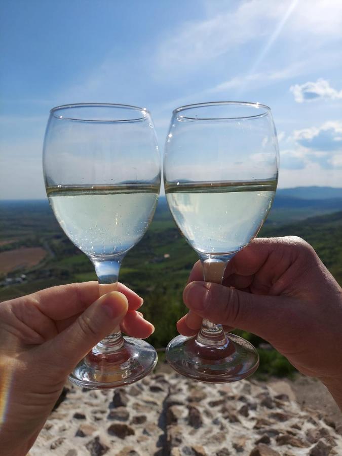 דירות Sátoraljaújhely Via Tokaj Vendeghaz מראה חיצוני תמונה